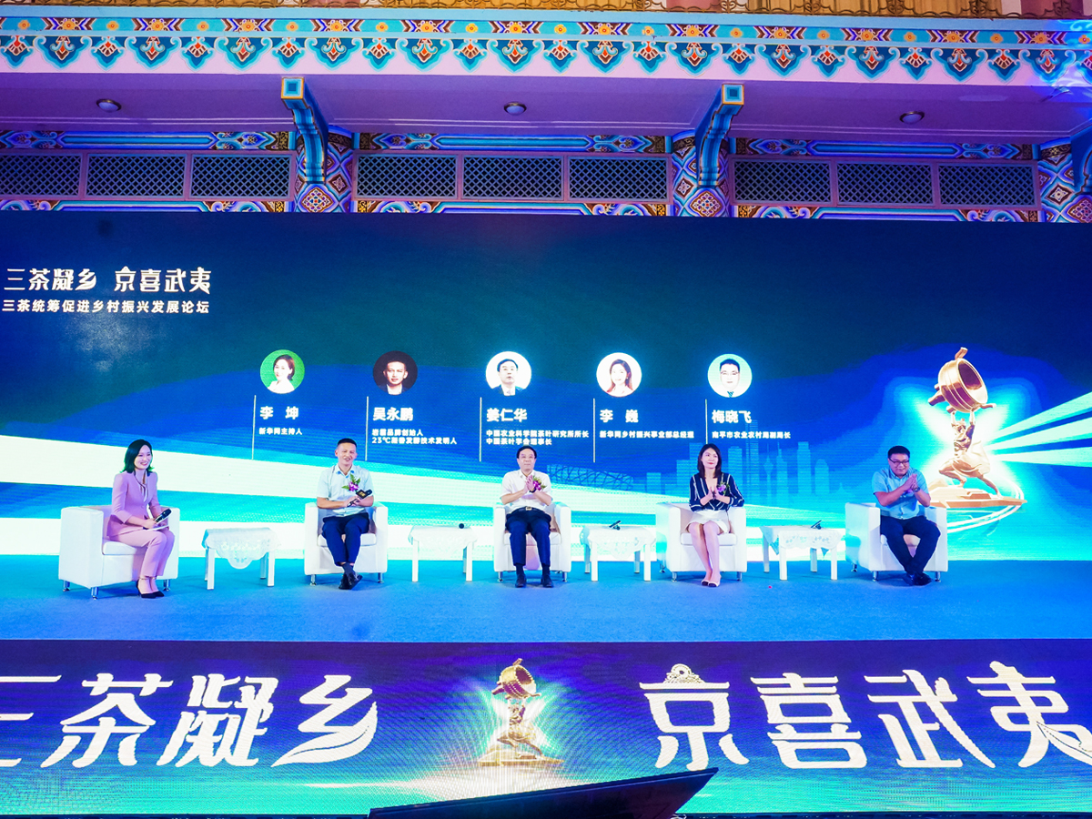 Ʒ�ưl(f��)�����A��Փ���h(hu��n)��(ji��)